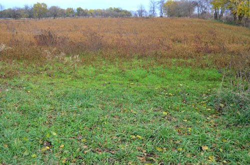 Property photo 21 - 80 Acres & Home - Property Offered in 4 Tracts from 2.3 to 30.0 Acres